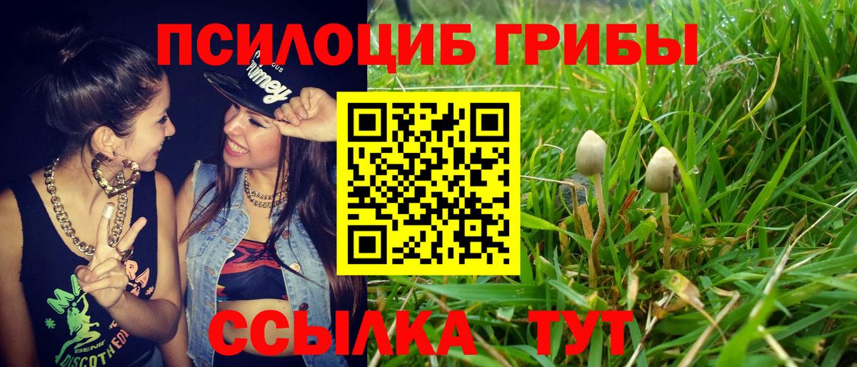 Галлюциногенные грибы Cubensis Арзамас
